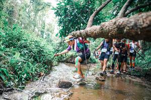 BIB: 
                            <button type="button" onclick="openModal(25373600)" class="btn btn-primary btn-sm float-right btn-popup" data-toggle="modal" data-target=".modal-high-quality">
                        <i class="fas fa-shopping-cart"></i> Add to Cart
                    </button>
                                            <button type="button" onclick="isThisMe(25373600, true)" class="btn btn-success btn-sm float-right btn-popup btn-isme hidden" data-toggle="tooltip" data-placement="bottom" title="นี่คือรูปของคุณใช่ไหม คลิกที่นี่เพื่อเอาเข้าอัลบั้ม">
                        <i class="fas fa-plus"></i> Add to album
                    </button>
                    <button type="button" onclick="isThisMe(25373600, false)" class="btn btn-warning btn-sm float-right btn-popup btn-isnotme hidden">
                        <i class="fas fa-ban"></i> Remove from album
                    </button>